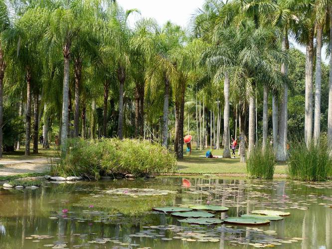 #Travel Photography Exhibition (227) Banna Botanical Garden