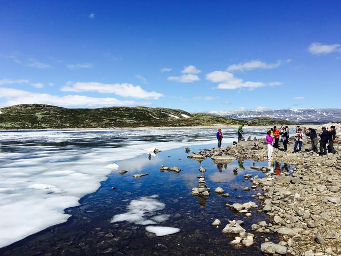 Photos of northern Europe in early summer - a happy self organized tour of seven countries [Norway, Sweden, Denmark, Finland, E