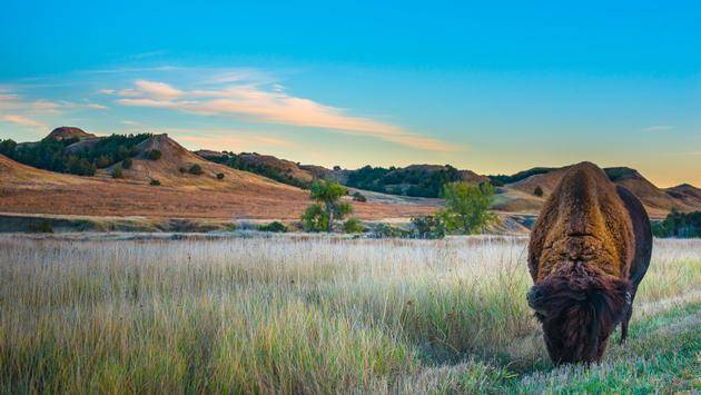 South Dakota and Wyoming Team Up to Promote the Ultimate American Road Trip