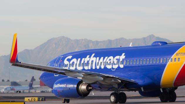 Southwest Airlines Grounds Flights Nationwide Due to Technical Issues